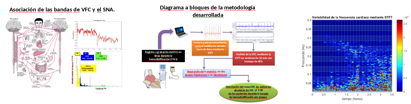 Imagen de la diapositiva