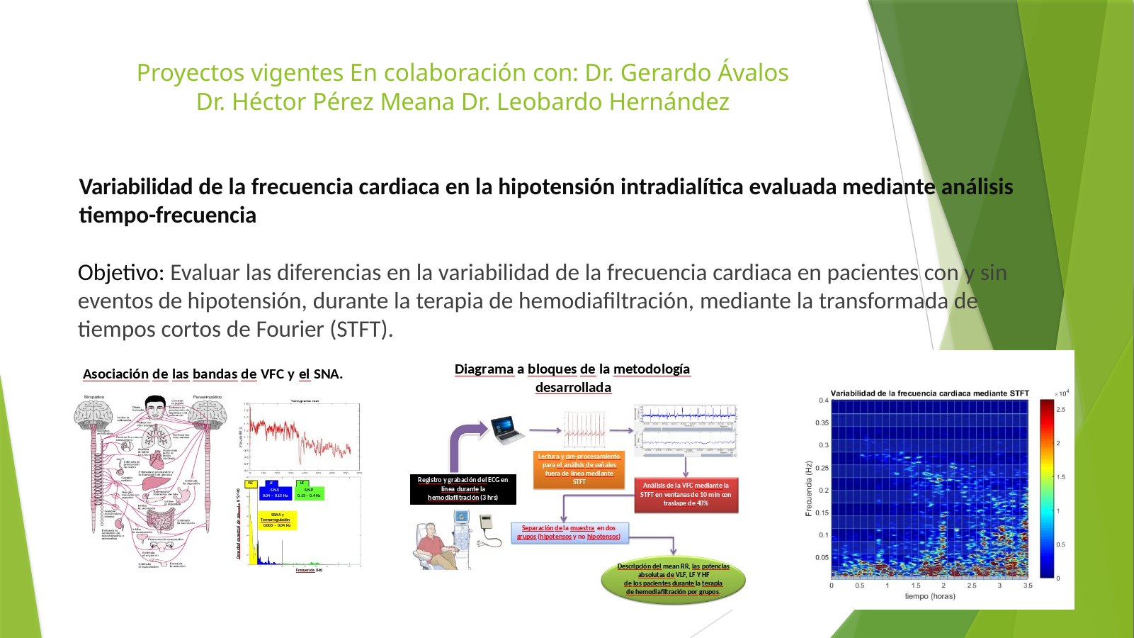 Lámina 2: Proyectos vigentes En colaboración con: Dr. Gerardo Ávalos Dr. Héctor Pérez Meana Dr. Leobardo Hernández
